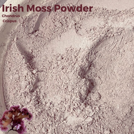 Wholesale Irish Moss Powder (Chondrus Crispus), Organic NativeLifeLLC