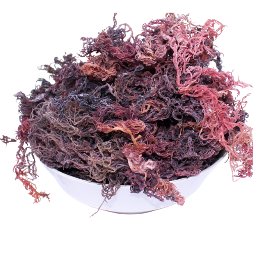 Wholesale Purple Sea Moss | NativeLifeLLC